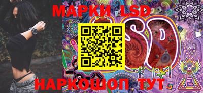 дурь Берёзовский